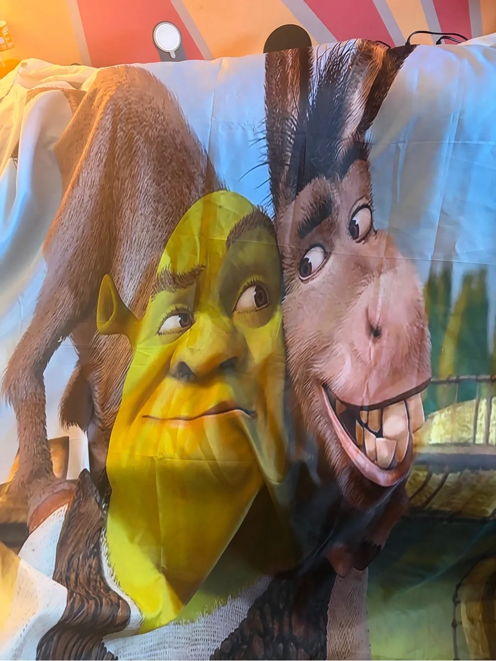 Shrek & Donkey Printed shower curtain - Multi